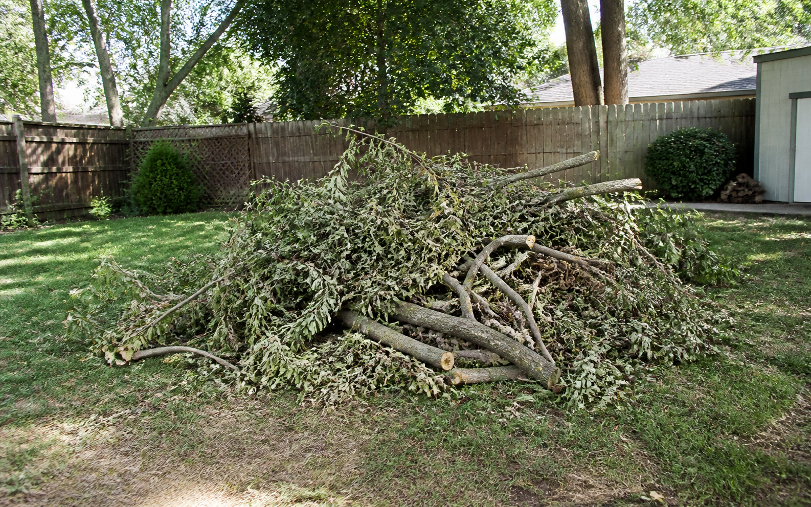 Tree debris piled in a backyard ready for removal
